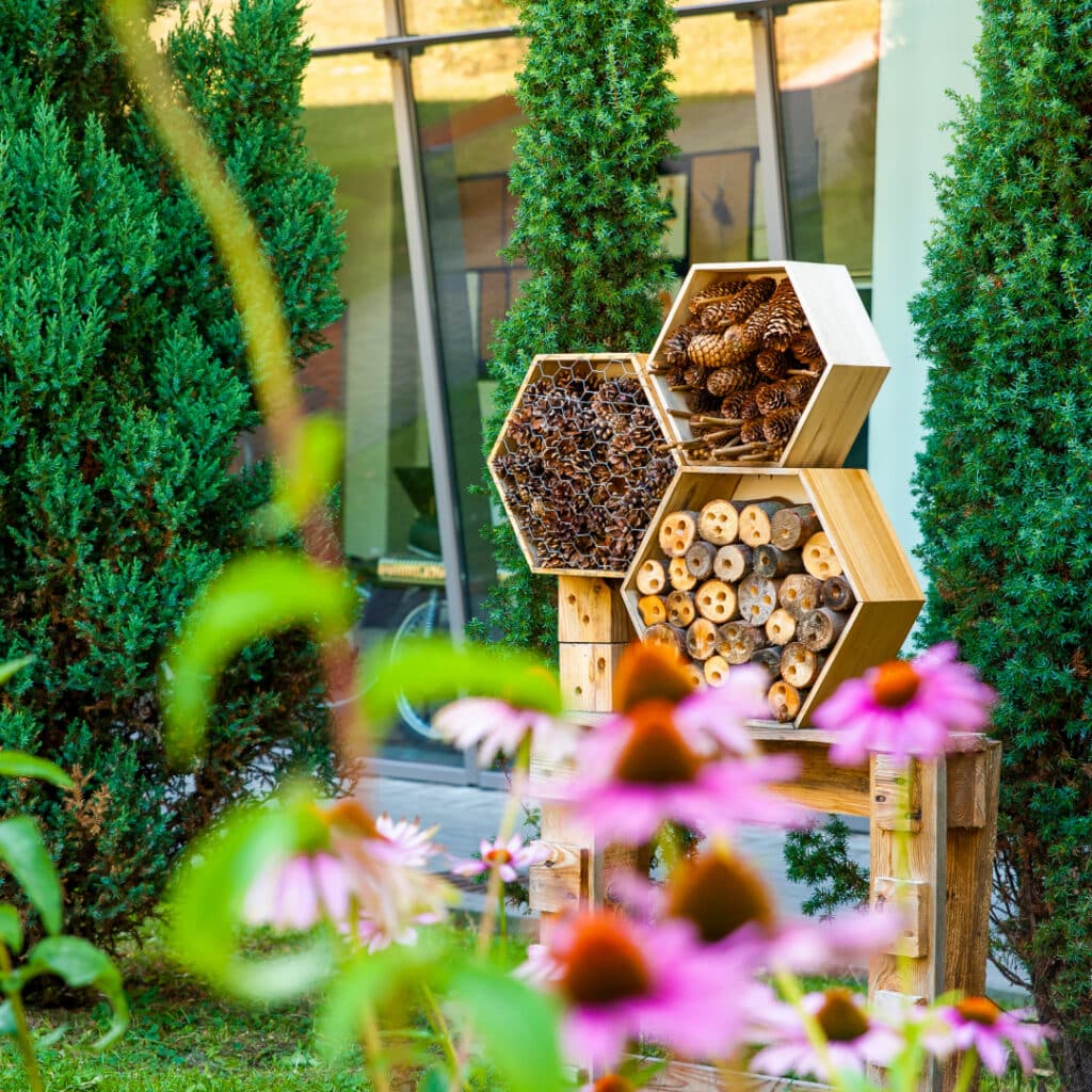 Build natural habitats