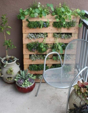 Recycled pallet garden