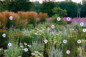 Scape Design, a Monaco based landscape and garden design practice. Garden Design. The National Design Academy Scape Design, a Monaco based landscape and garden design practice.Garden Design. The National Design Academy