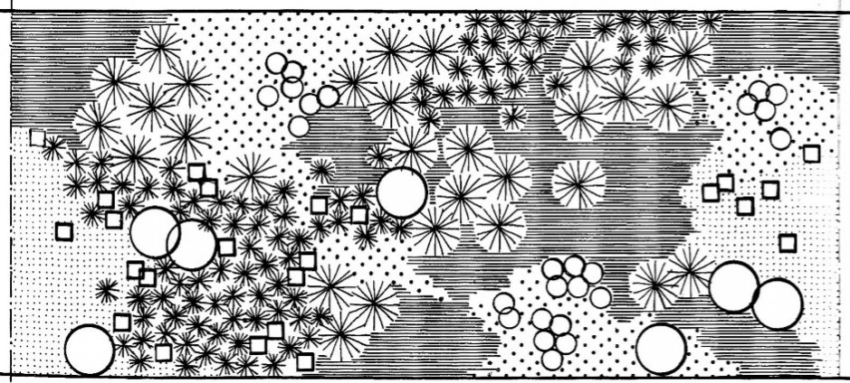 This distribution of planting by Roland Byass, a London based landscape architect This distribution of planting by Roland Byass, a London based landscape architect
