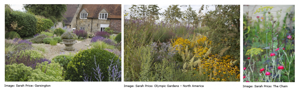 Wildlife Friendly Gardens| National Design Academy