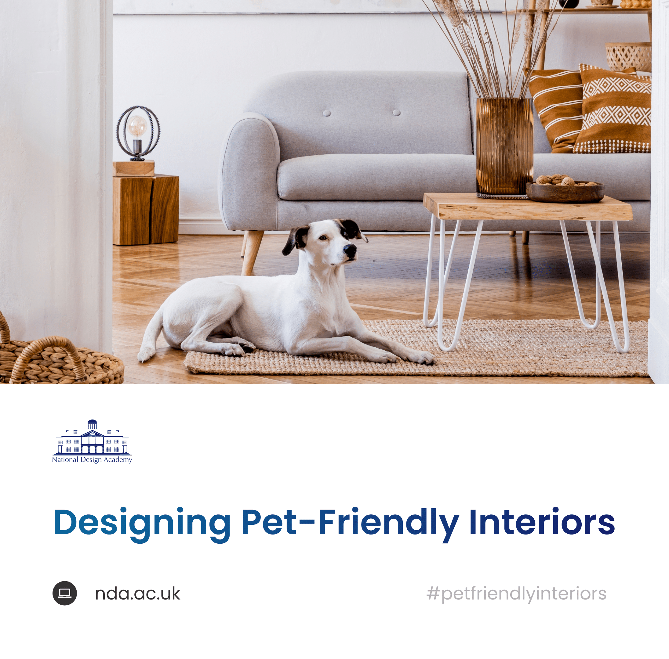 Designing_houses_for_pets_