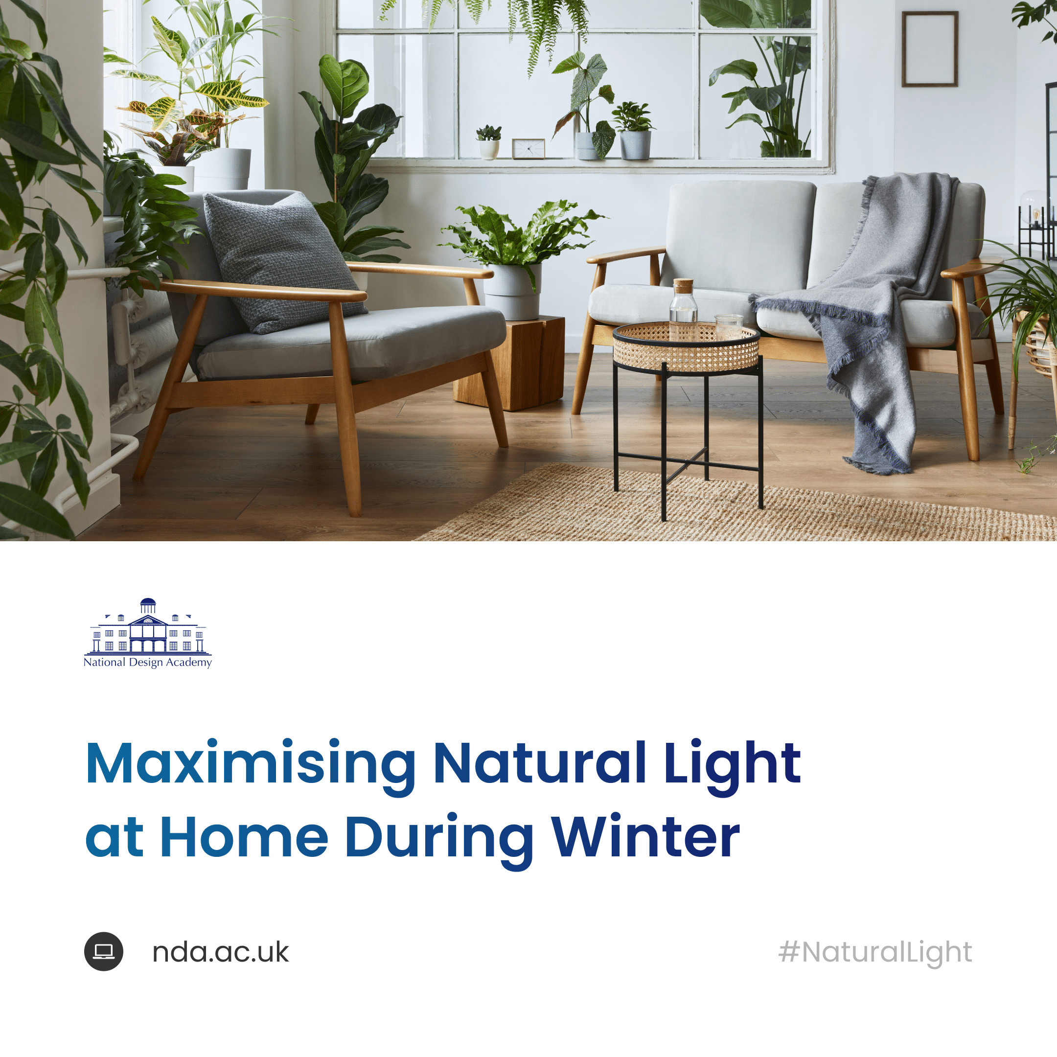 Maximising Natural Light at Home Blog Cover