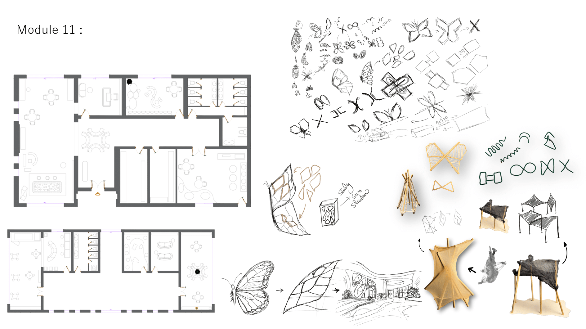 Module 11.1