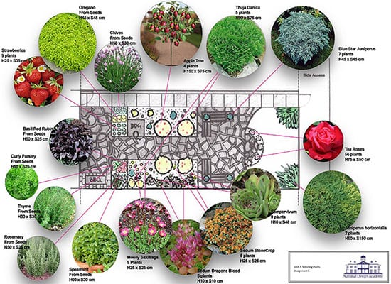 Online Garden Design Diploma | Fully Accredited Level 3 Qualification | National Design Academy